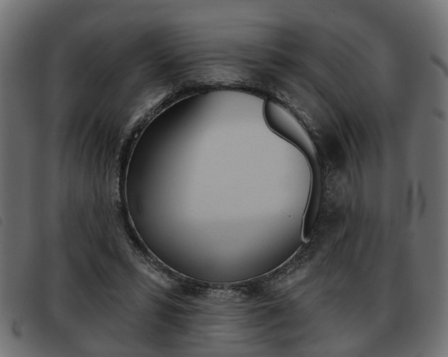 X0000093620399200710151044