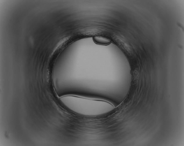 X0000093620400200710151044