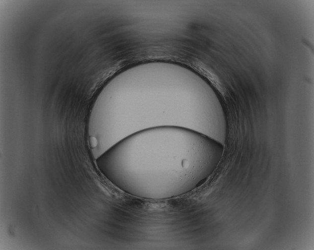 X0000093620401200710151044
