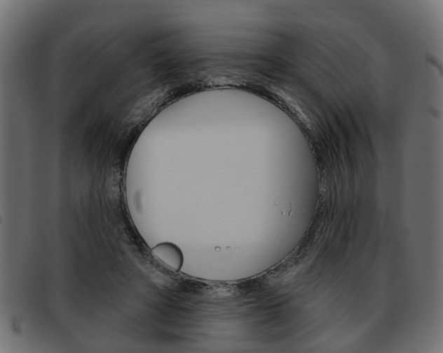 X0000093620402200710151044