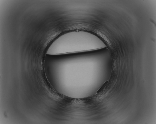 X0000093620403200710151044