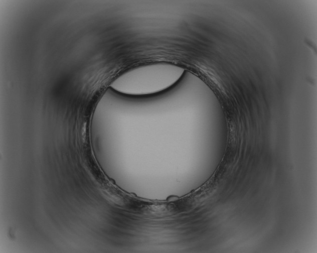 X0000093620406200710151044