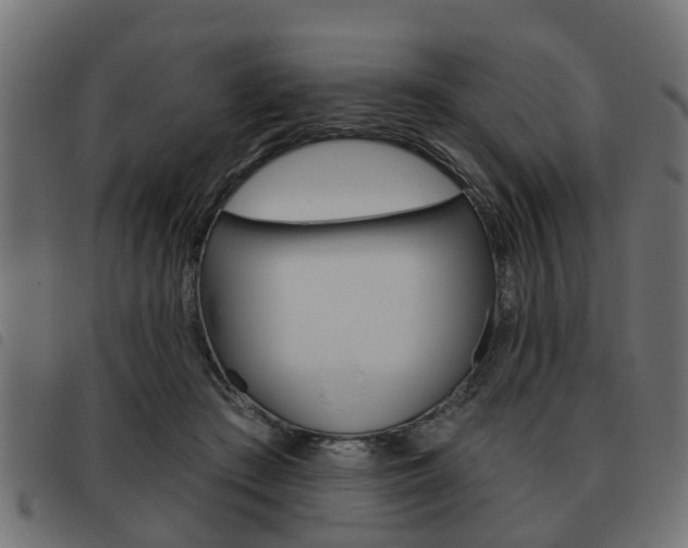 X0000093620409200710151044