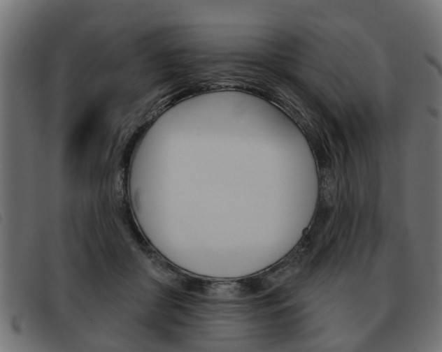X0000093620410200710151044