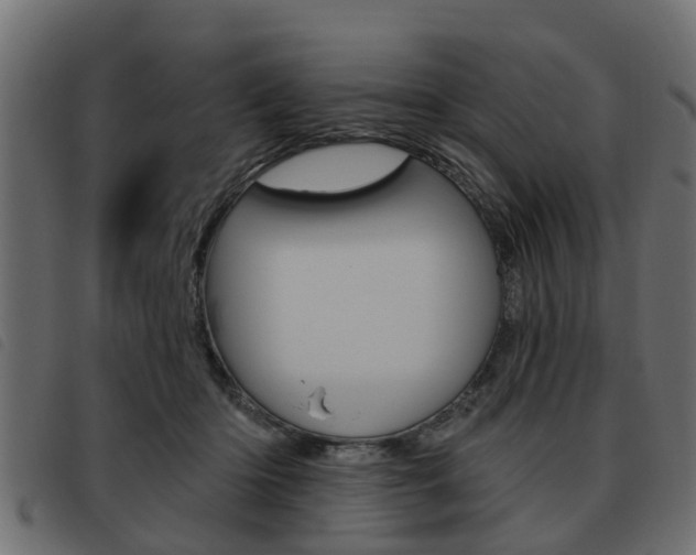 X0000093620414200710151044