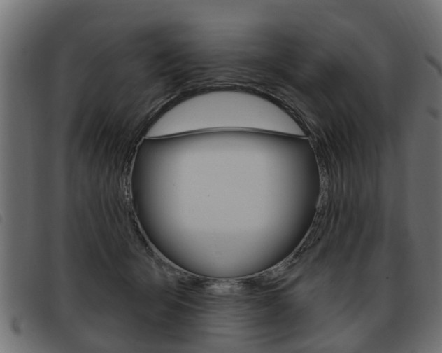 X0000093620415200710151044
