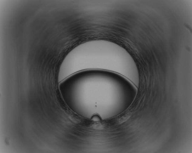 X0000093620416200710151044