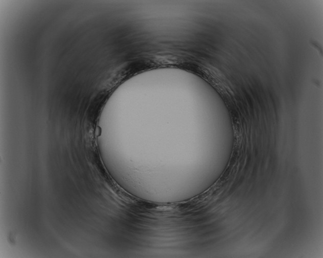 X0000093620418200710151044