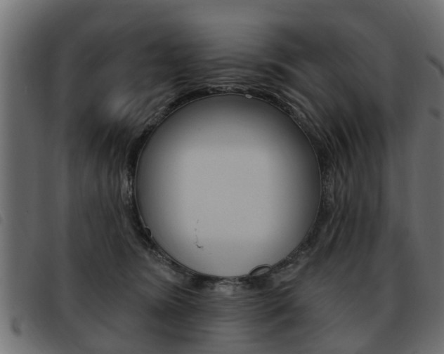 X0000093620420200710151044