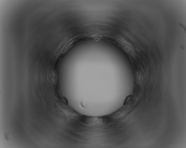 X0000093620421200710151044