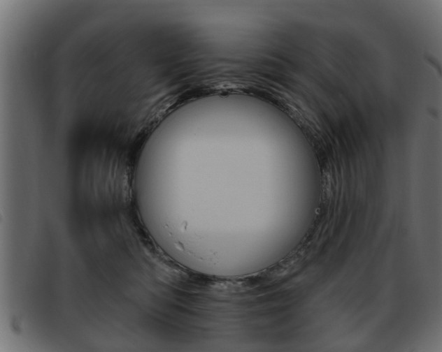 X0000093620422200710151044