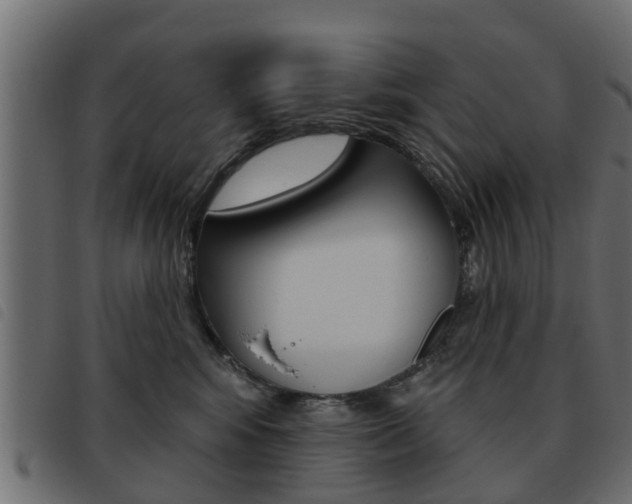 X0000093620424200710151044
