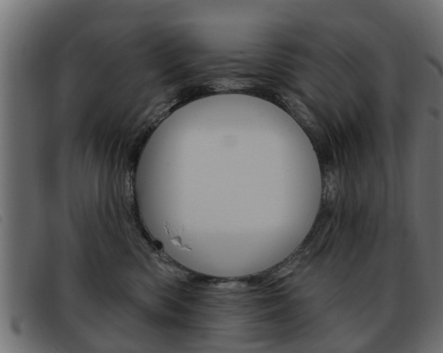 X0000093620426200710151044