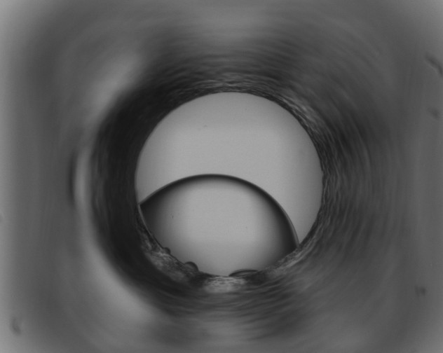 X0000093620429200710151044