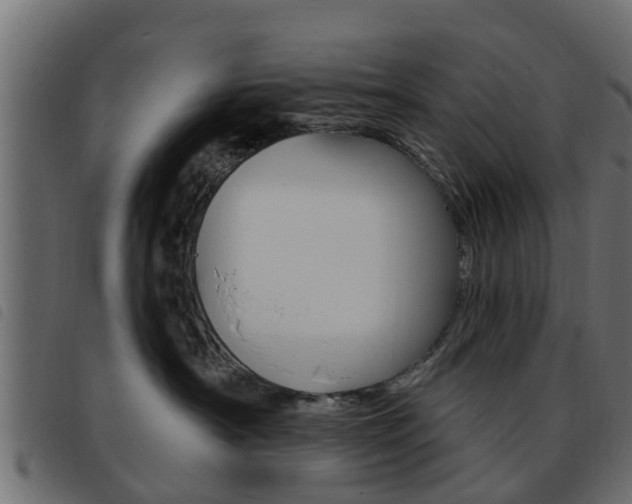 X0000093620430200710151044