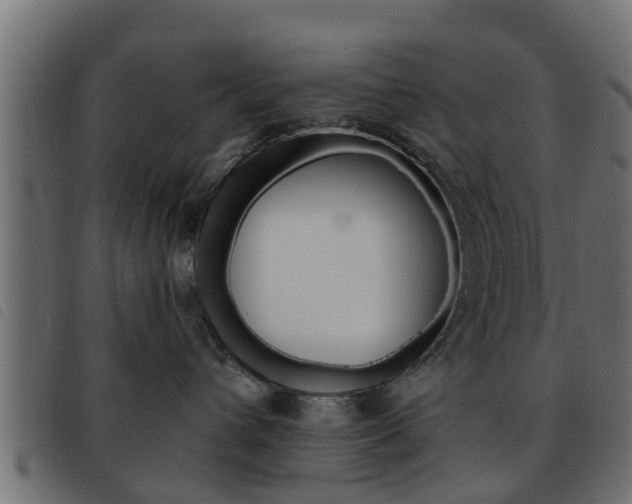 X0000093620432200710151044