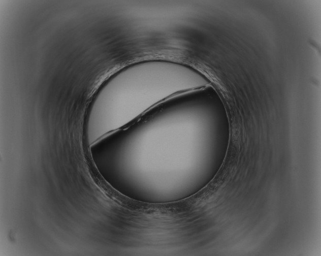 X0000093620434200710151043