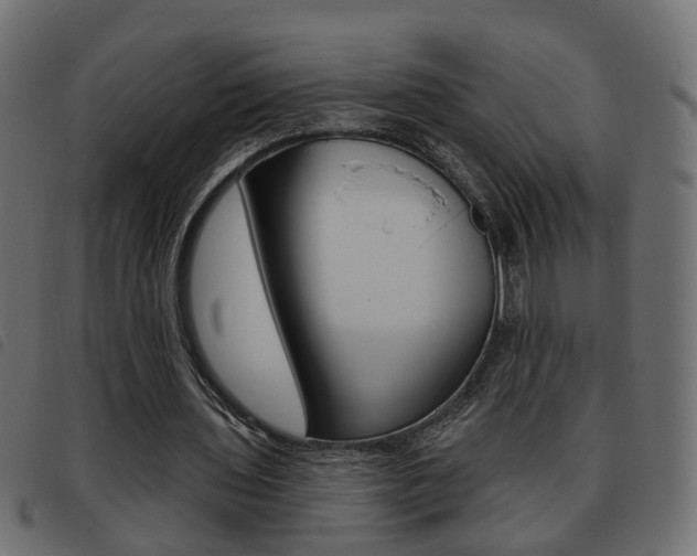 X0000093620435200710151043