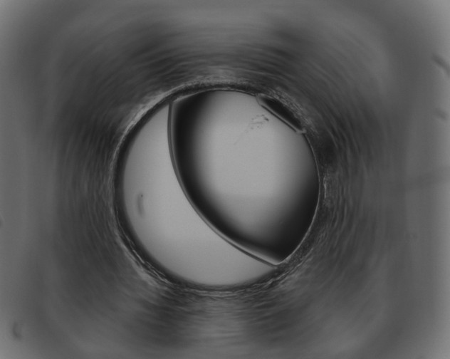 X0000093620436200710151043