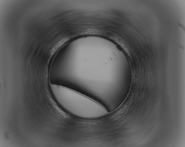 X0000093620437200710151043