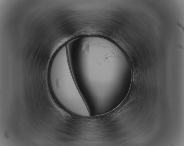 X0000093620438200710151043