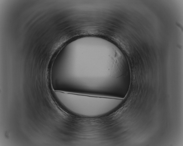 X0000093620439200710151043