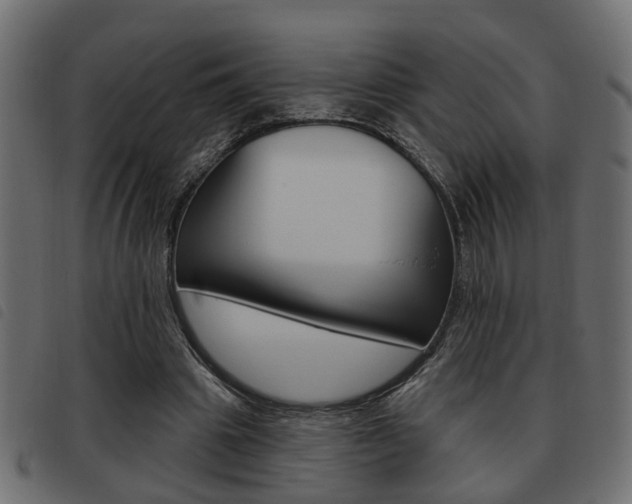 X0000093620441200710151043