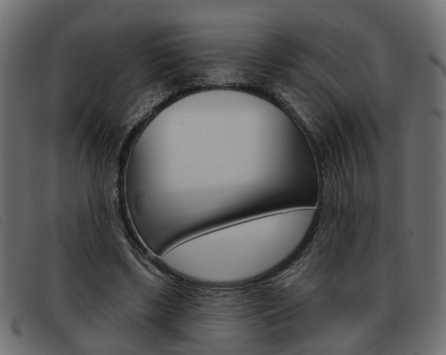 X0000093620443200710151043