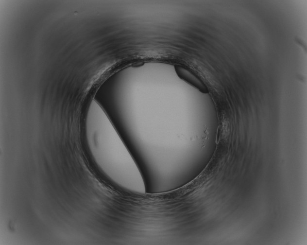 X0000093620444200710151043
