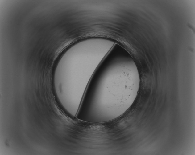 X0000093620446200710151043