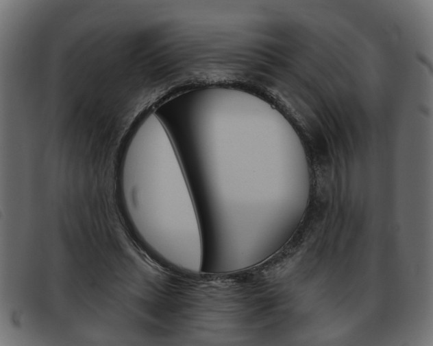 X0000093620447200710151043