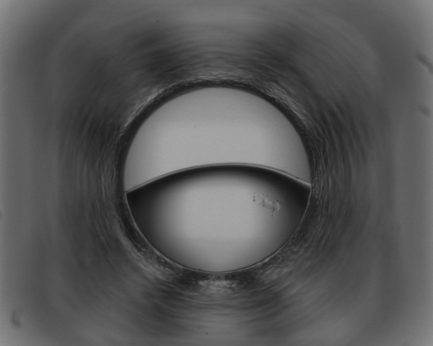 X0000093620448200710151043