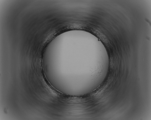 X0000093620449200710151043