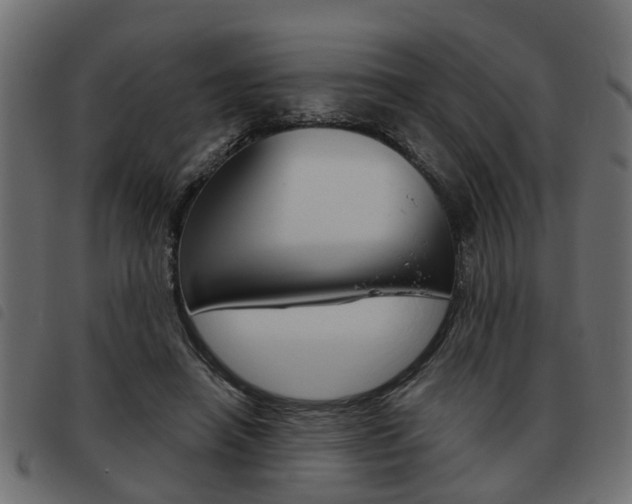 X0000093620450200710151043