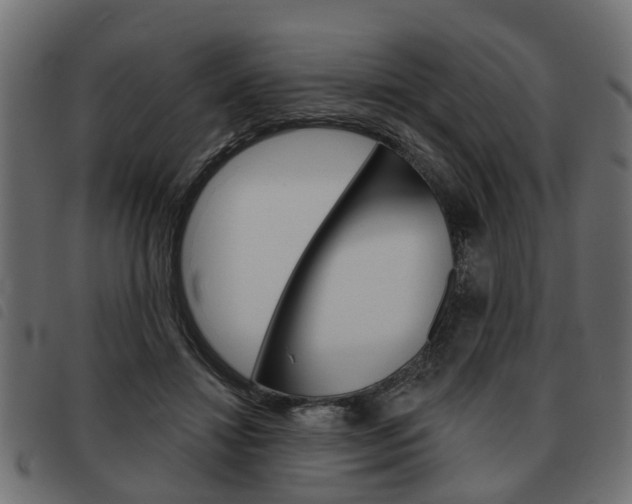 X0000093620452200710151043