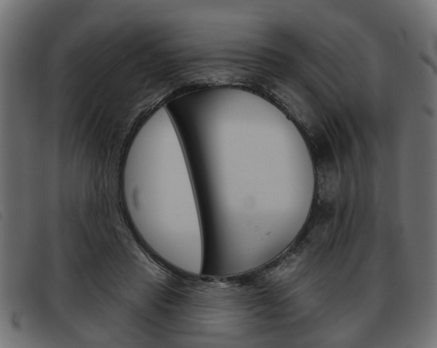 X0000093620453200710151043