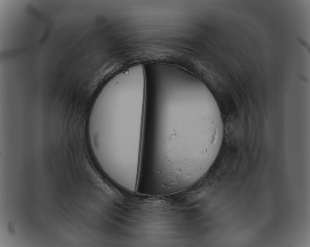 X0000093620454200710151043
