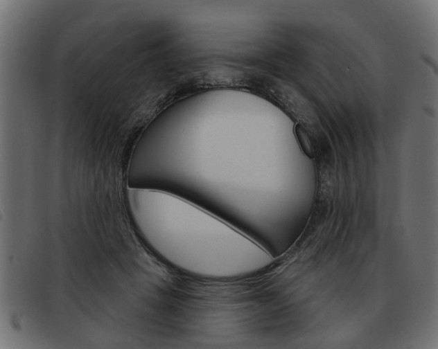 X0000093620457200710151043
