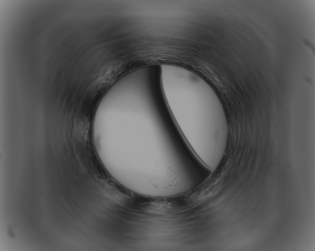 X0000093620458200710151043