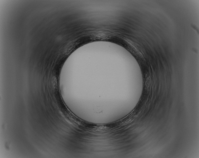 X0000093620459200710151043