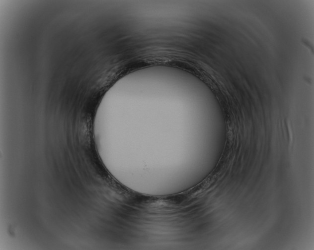X0000093620460200710151043