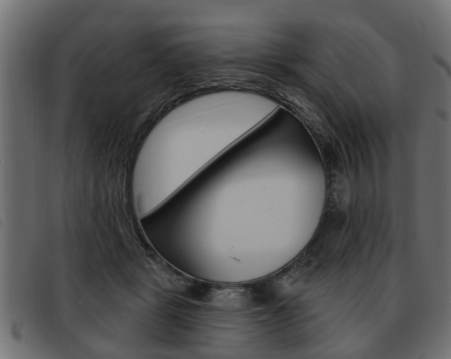 X0000093620461200710151043