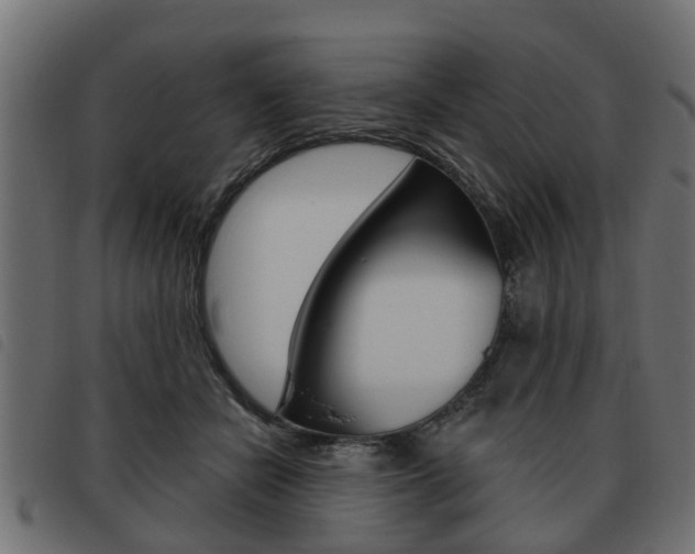 X0000093620462200710151043