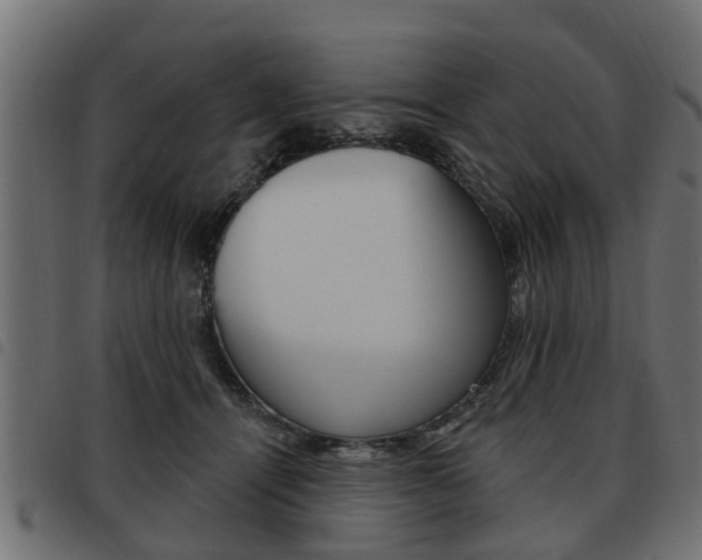 X0000093620464200710151043