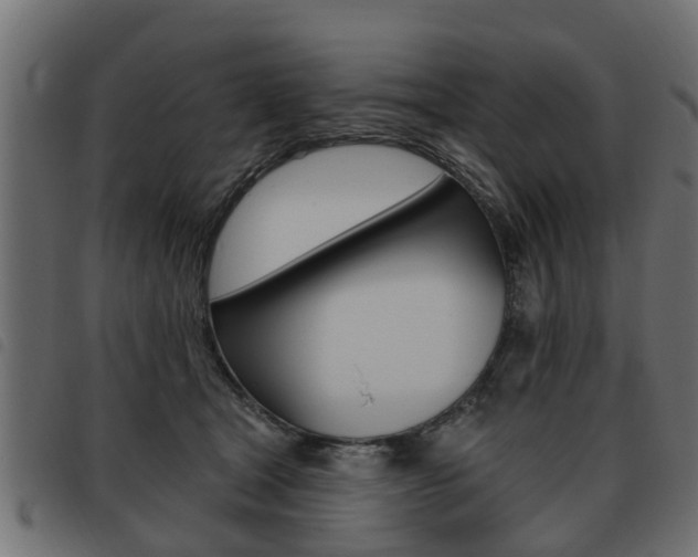 X0000093620465200710151043