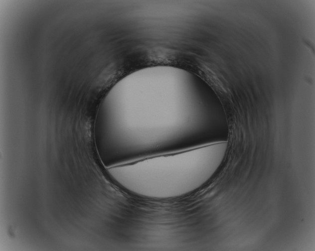 X0000093620466200710151043