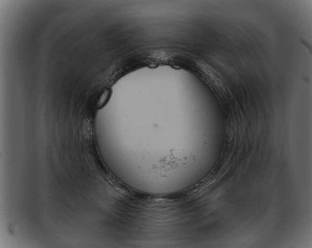 X0000093620467200710151043