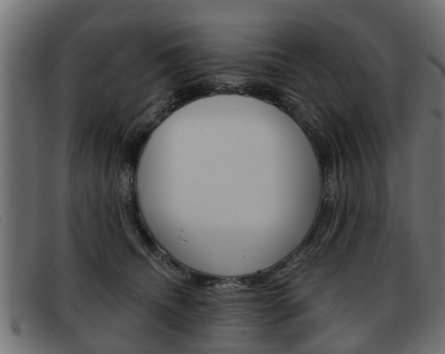X0000093620468200710151044