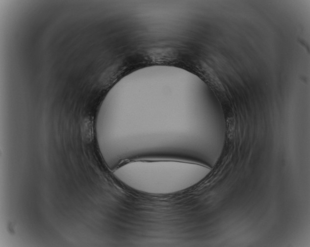 X0000093620471200710151044