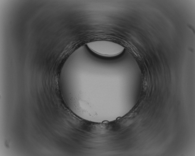 X0000093620473200710151044